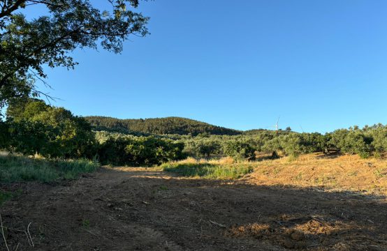 GÜNDOĞDU KADINYERİ MEVKİİ 1195 M2 ANA YOLA YAKIN DOĞA MANZARALI HOBİ BAHÇESİ